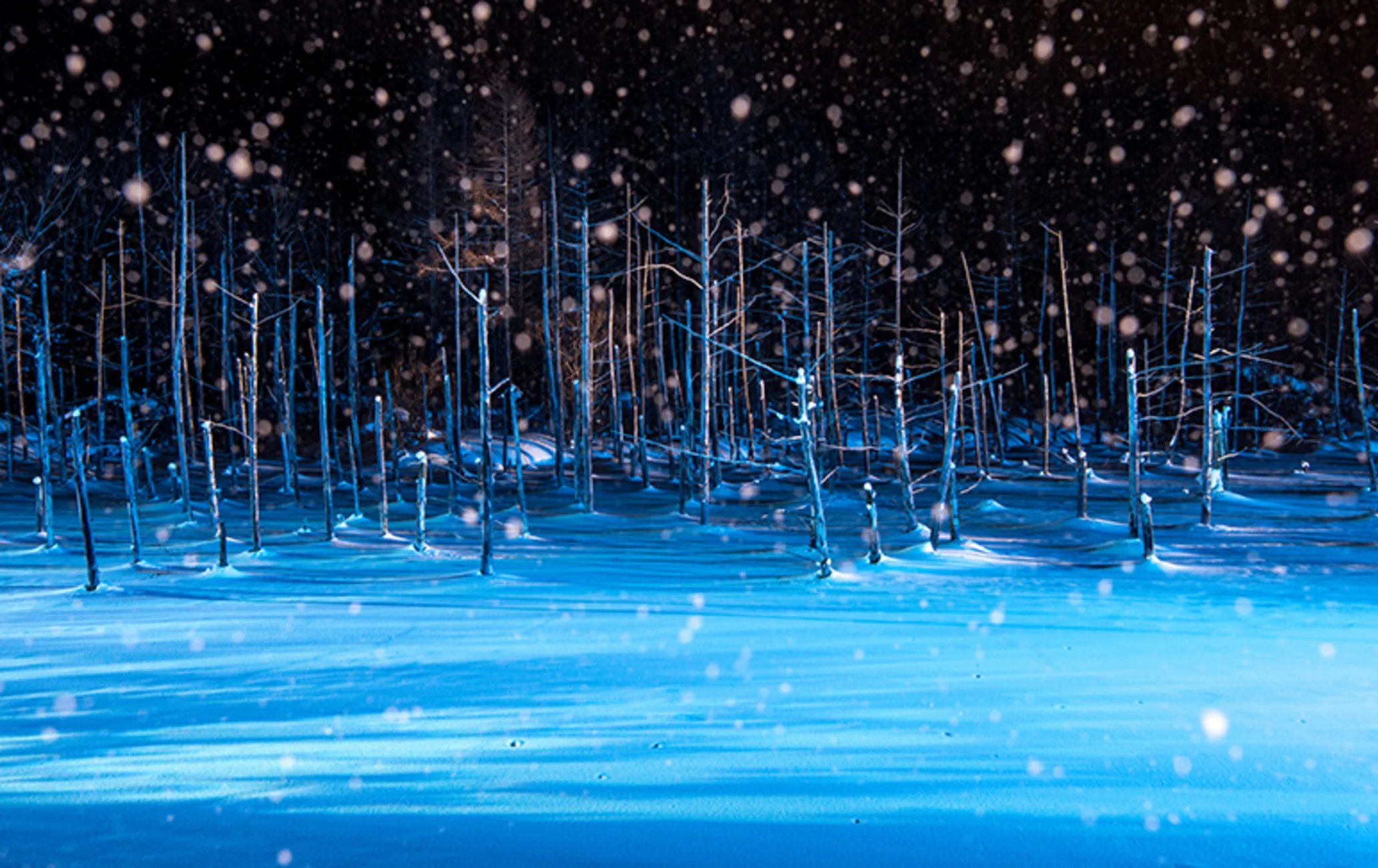 🏞️ 청의 호수(시로가네 아오이이케) 이미지 8